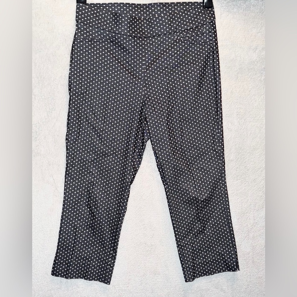 Anne Klein Capri Pants Size 8 Blue Polka Dot Pockets Straight Leg Flat Front EUC